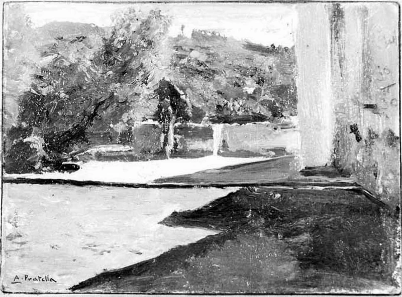  11-Giardino-Bitonto (BA) 